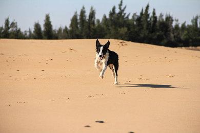 《超级马里奥兄弟》单手速通新纪录 仅需4分57秒